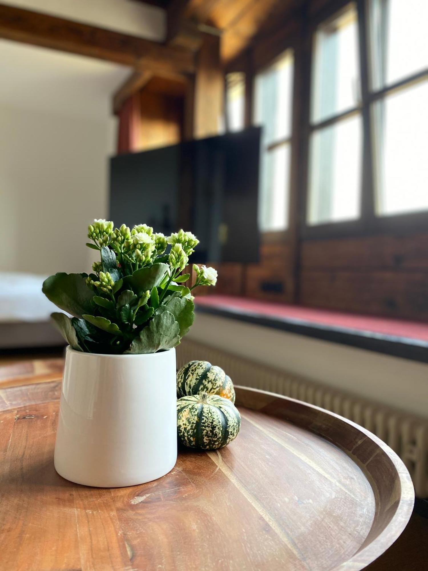 Apartmenthaus Eurenerstrasse 179 Trier Buitenkant foto